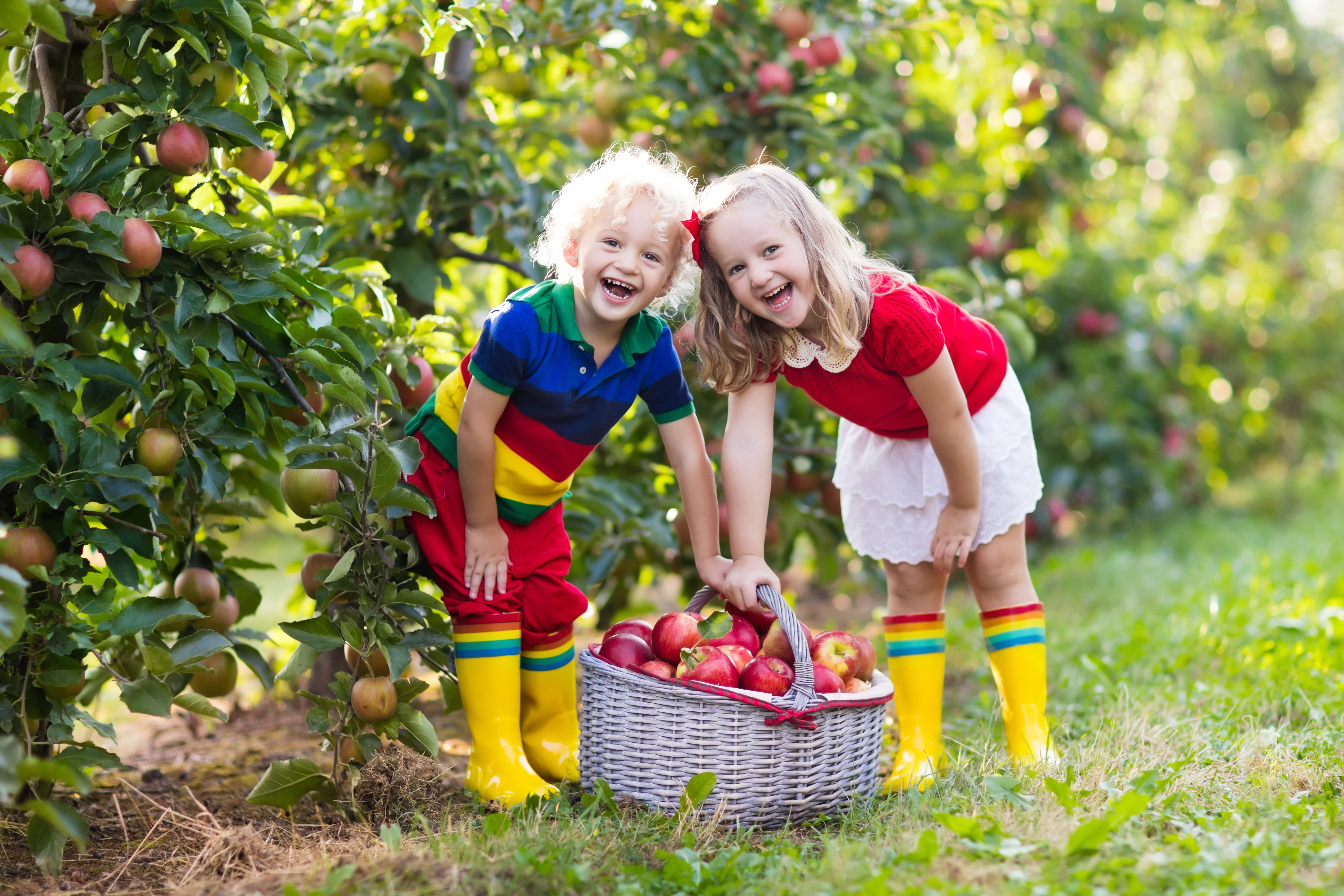 Take fun day trips to keep children learning during the summer