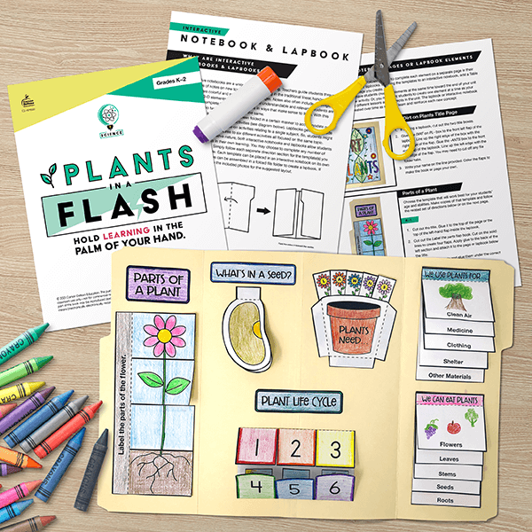 A completed Interactive Notebook activity about plant life from the Plants In A Flash title.