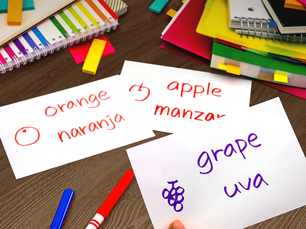 Spanish and English bilingual learning flashcards Spanish and English bilingual learning flashcards