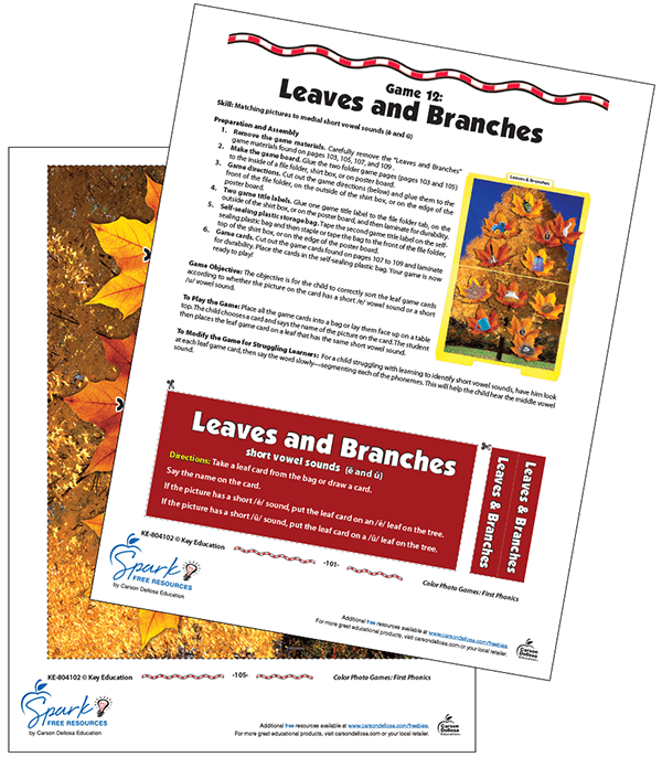 Free Leaves and Branches Fall Themed Printable Resource for Teachers